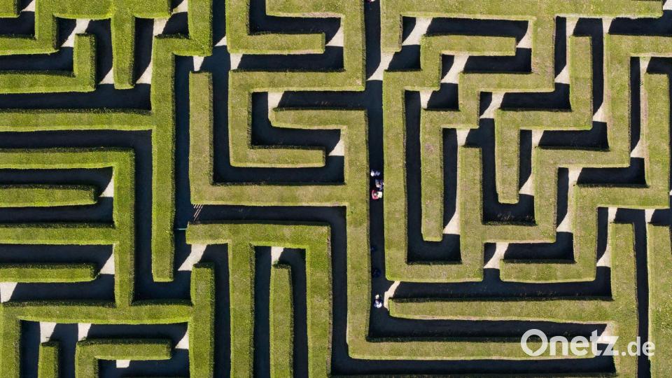Orientierungssinn gefragt: Besucher gehen durch einen Irrgarten zwischen Thuja-Hecken-Pflanzen. Bild: Sebastian Kahnert/dpa