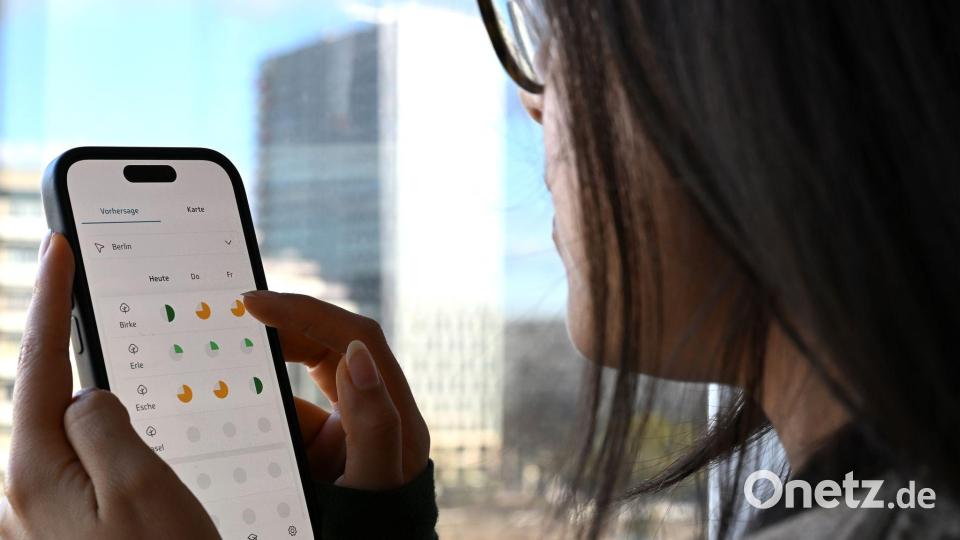 Informationen sind wichtig für Allergikerinnen und Allergiker. (Symbolbild) Bild: Elisa Schu/dpa