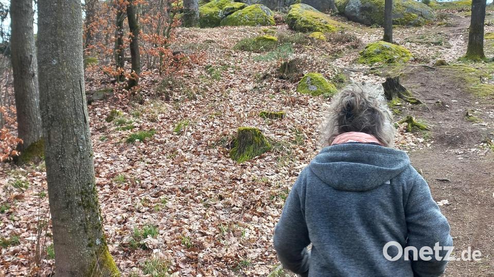 Die Tour findet weitestgehend auf befestigtem Wanderwegen statt, es gibt aber auch anspruchsvollere Passagen. Bild: mnt