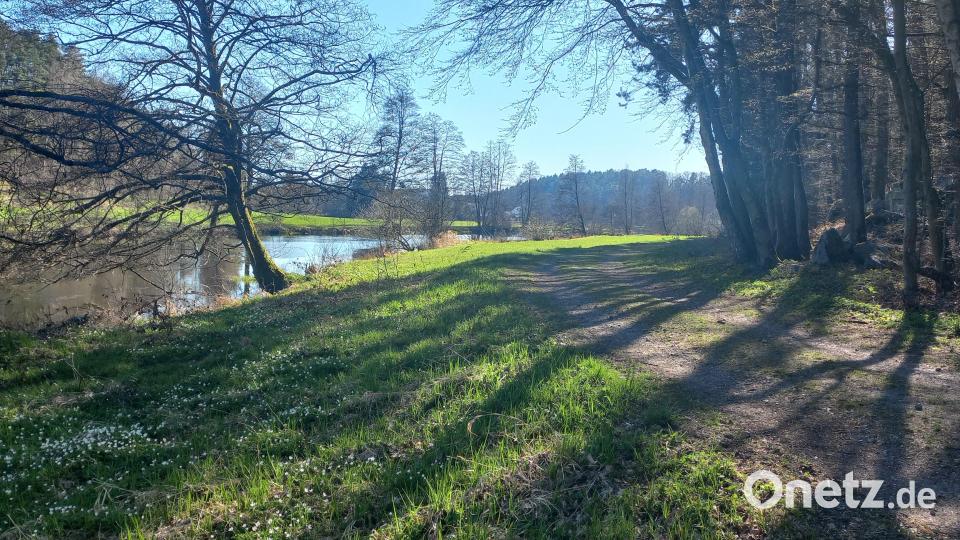 Die Wandertour führt direkt an der Schwarzach entlang und eröffnet reizvolle Einblicke in eine naturnahe Landschaft. Bild: mnt