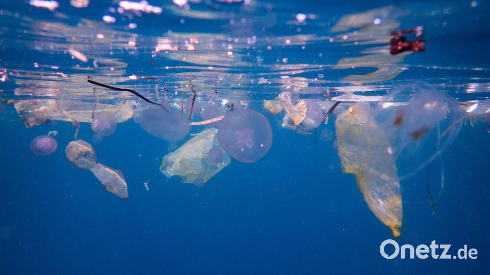 Plastikmüll schwimmt neben Quallen am Tauchplatz Blue Magic in Raja Ampat in Indonesien. Bild: Claudia Rosel/AP/dpa