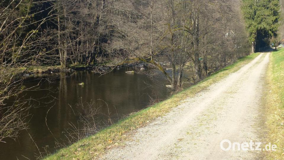Der Schwarzachtal-Radweg führt von Neunburg kommend auf den ehemaligen Bahntrassen entlang in Richtung Eixensdorfer Stausee. Bild: mnt
