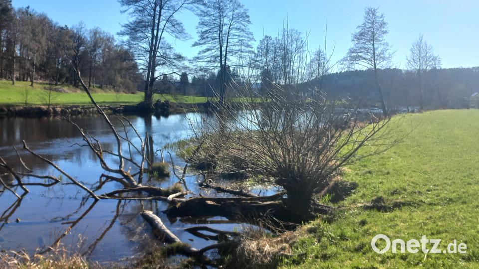 Der Wanderweg verläuft in weiten Teilen entlang der Schwarzach und bietet eindrucksvolle Einblicke in unberührte Natur. Bild: mnt
