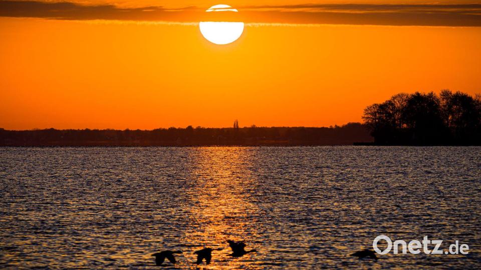 Die Sonne geht am Steinhuder Meer in der Region Hannover auf. Bild: Moritz Frankenberg/dpa