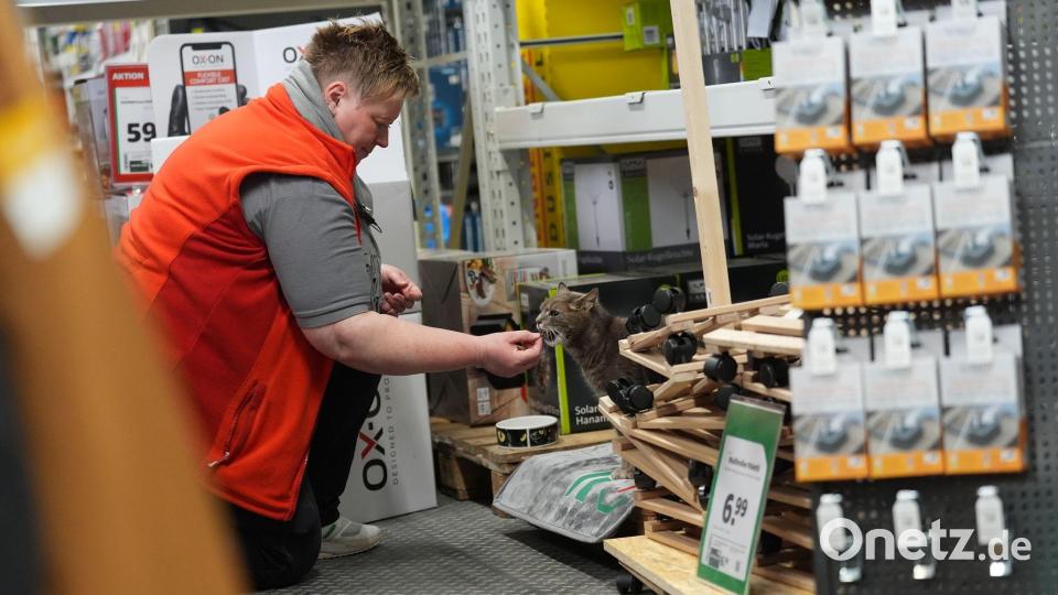 Jennifer Scheel, Mitarbeiterin im Baumarkt, wird von ihren Kollegen auch „Katzenmutti“ genannt. Bild: Marcus Brandt/dpa