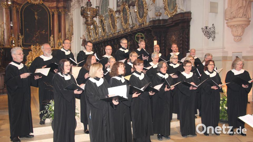Der Kammerchor der Frauenkirche Dresden in Aktion in der Waldsassener Basilika. Bild: Konrad Rosner