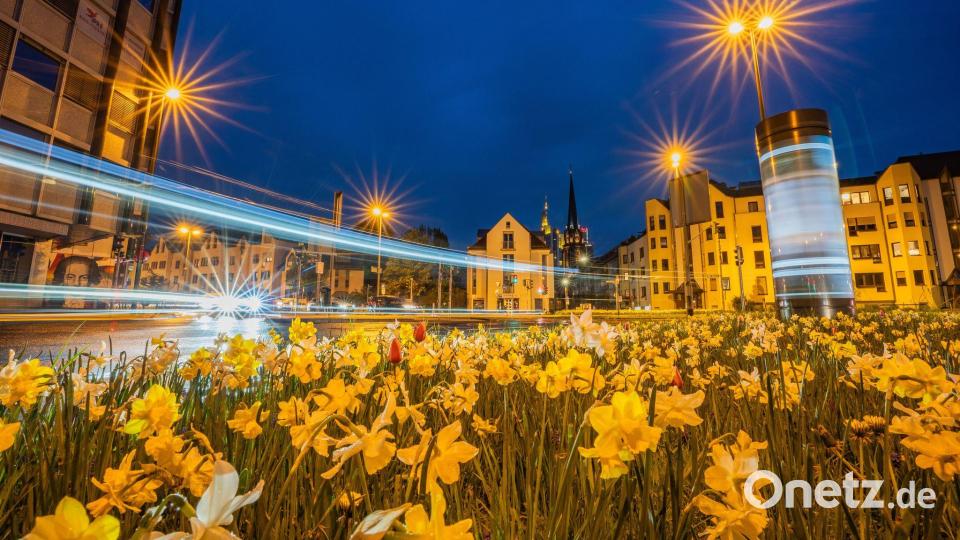 Der Verkehr fließt zur Blauen Stunde um eine Verkehrsinsel mit Frühlingsblühern in der Innenstadt von Frankfurt/Main. Bild: Andreas Arnold/dpa