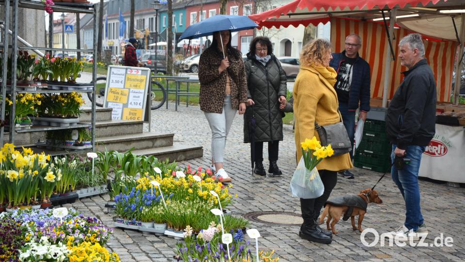 Zuweilen trostlos sah es am Sonntagnachmittag auf dem Mitterteicher Ostermarkt aus. Bei Nieselregen verliefen sich die wenigen Besucher zwischen den Verkaufsständen. Bild: jr
