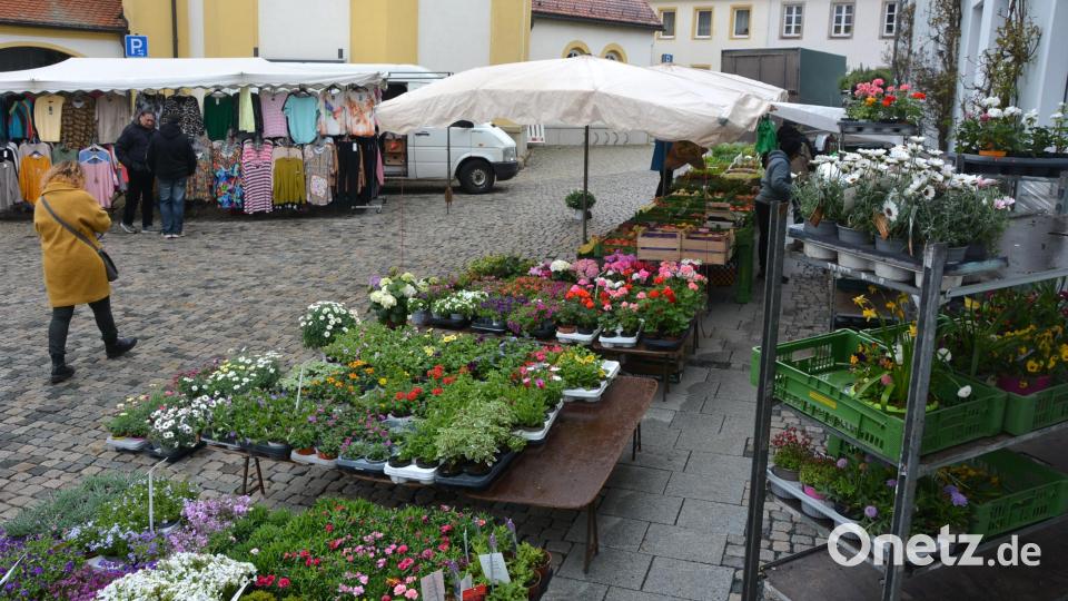 Für das Wetter können die Fieranten nichts. Bei kühlen Temperaturen und Nieselregen lockte das Angebot wenige Besucher in die Innenstadt. Bild: jr