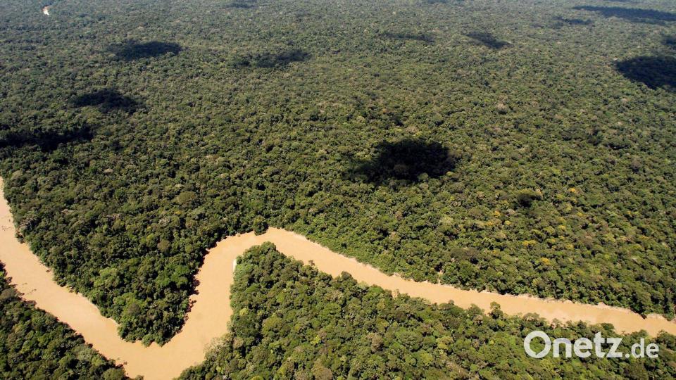Der Regenwald in Ecuador ist schon lange bedroht. Doch es gibt Hoffnung. Bild: picture alliance / dpa