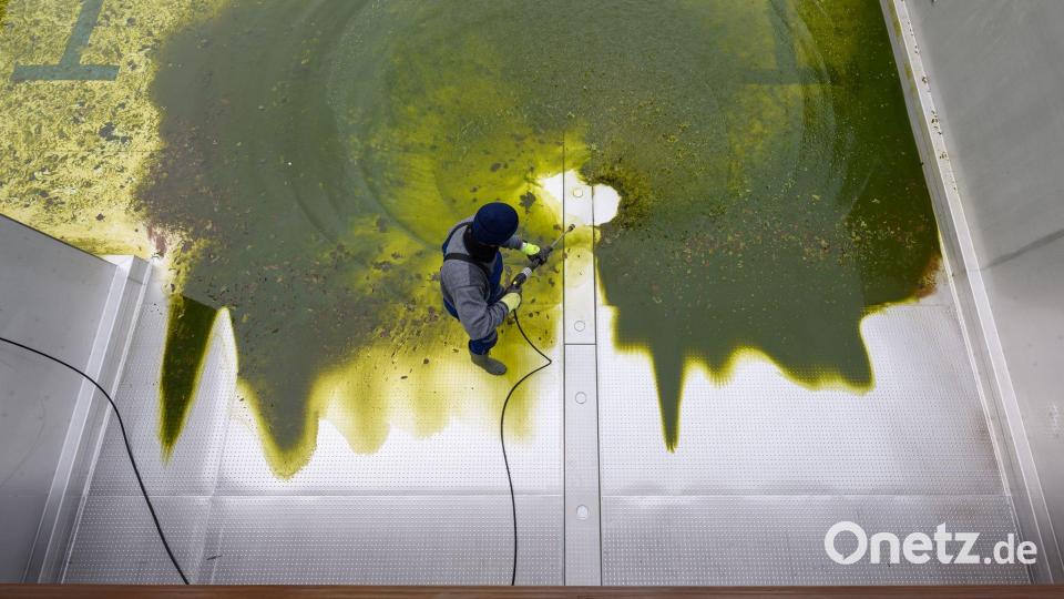 Vor dem Start in die Freibadsaison - Badebecken wird gereinigt Bild: Hendrik Schmidt/dpa