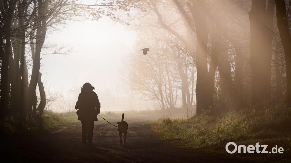 Spaziergang in einen herrlichen Morgen. Bild: Patrick Pleul/dpa