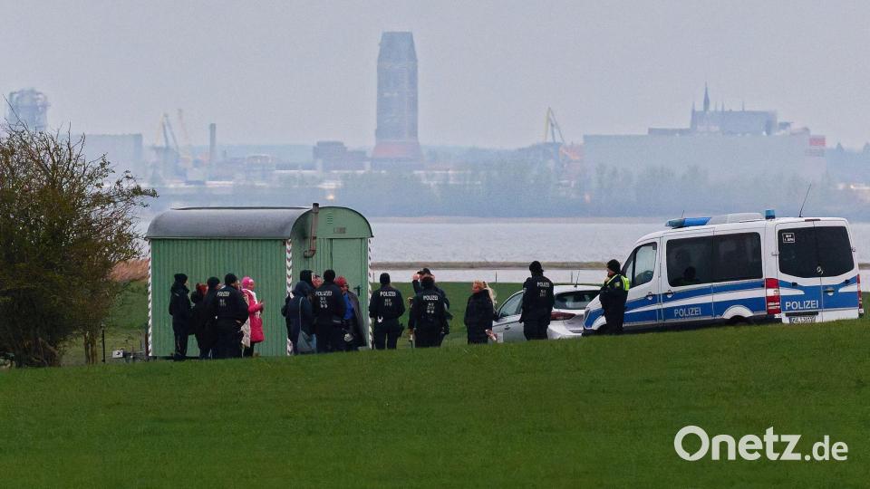 Emotion bringt Aufmerksamkeit: Kaum ein Beispiel zeigt das besser als das Wal-Drama vor Poel. Bild: Marcus Golejewski/dpa