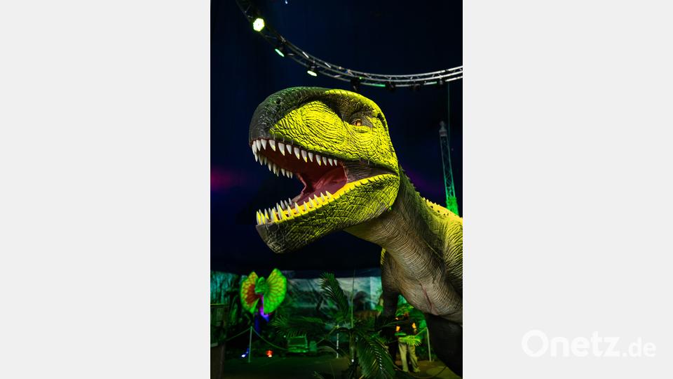 Dinosaurier-Ausstellung in Wunsiedel Bild: Justin Freiwald