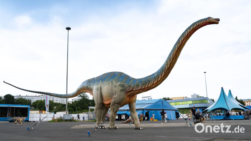 Dinosaurier-Ausstellung in Wunsiedel Bild: Justin Freiwald