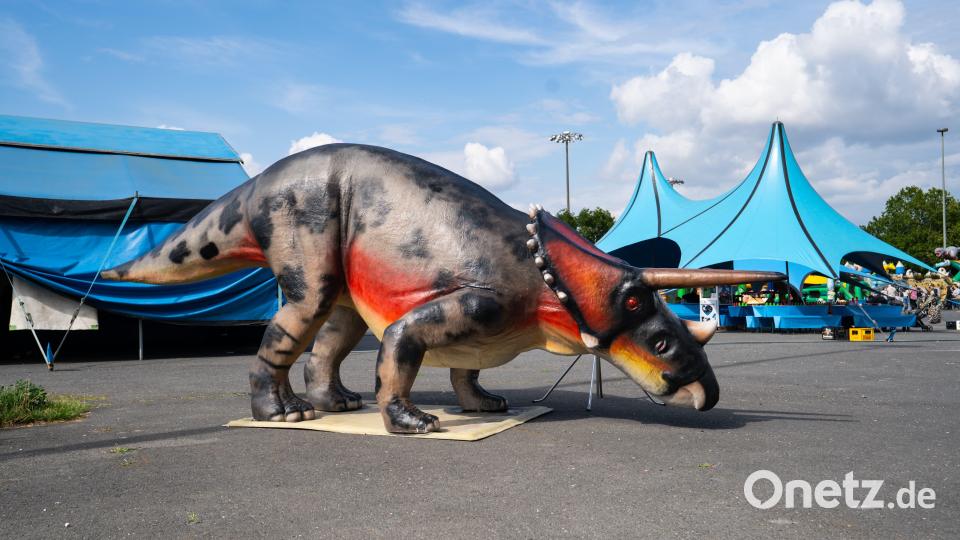 Dinosaurier-Ausstellung in Wunsiedel Bild: Justin Freiwald