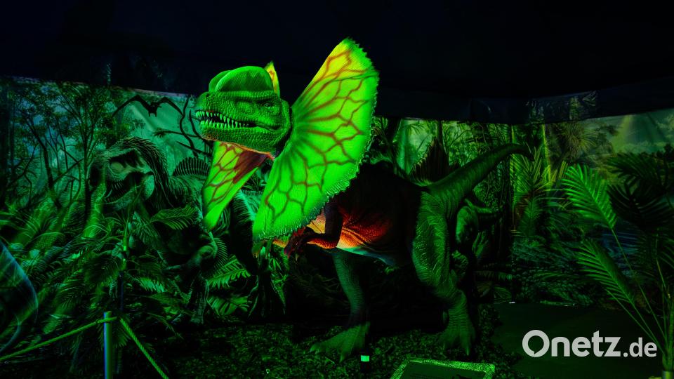 Dinosaurier-Ausstellung in Wunsiedel Bild: Justin Freiwald