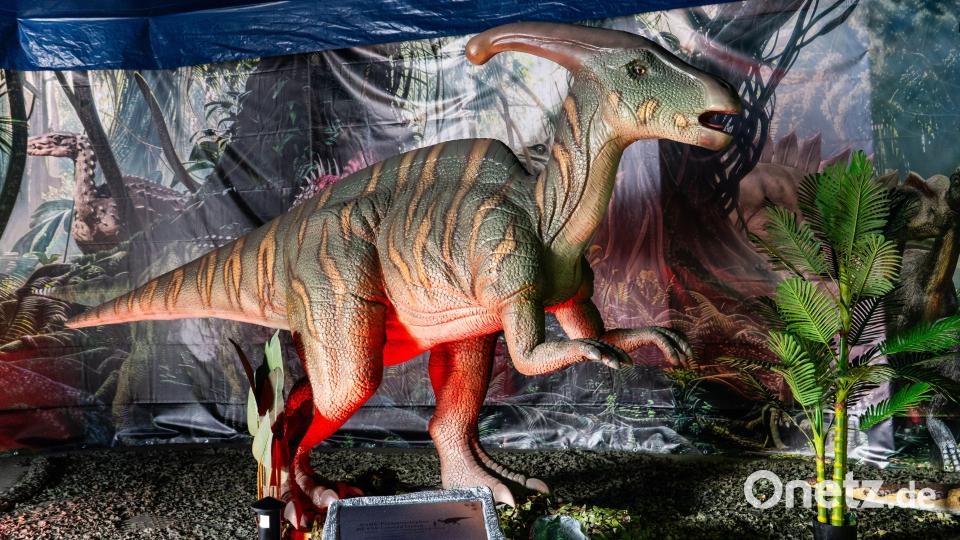 Dinosaurier-Ausstellung in Wunsiedel Bild: Justin Freiwald