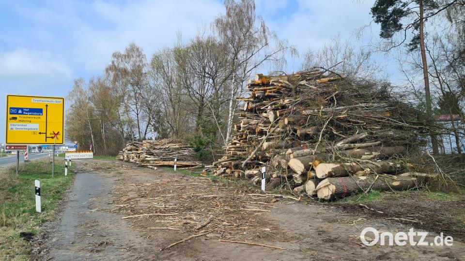 Der Holzberg, der bei der Durchforstung im Bereich der Schmelitzhöhe entstand, war durchaus beträchtlich. Bild: Jonas Storch