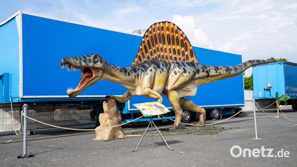 Dinosaurier-Ausstellung in Wunsiedel Bild: Justin Freiwald
