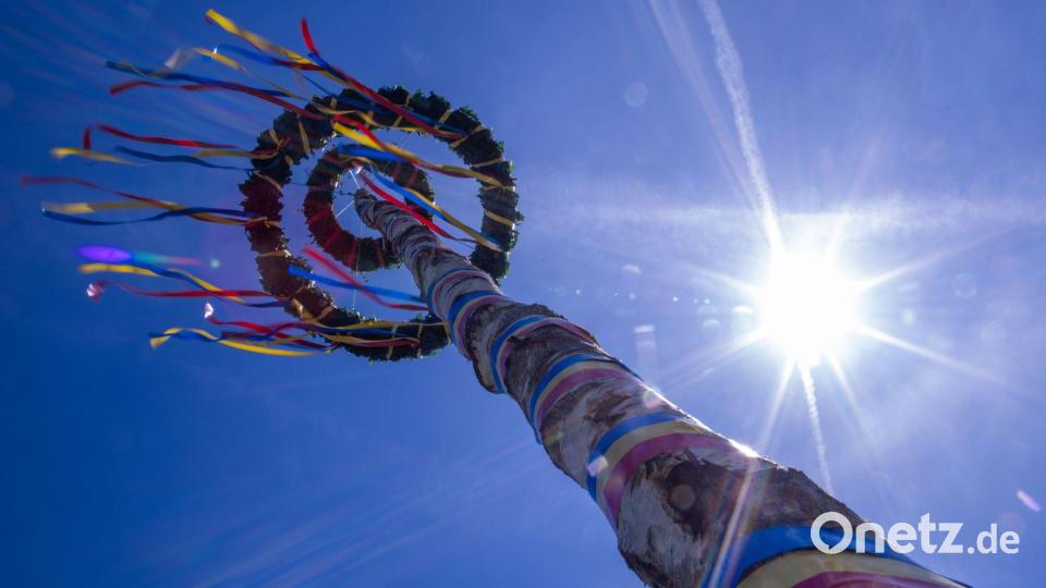 Es gibt meist einen großen Maibaum an zentralen Plätzen der Ortschaften - aufwendig dekoriert und vor dem Aufstellen gut bewacht. (Symbolbild) Bild: Jens Büttner/dpa