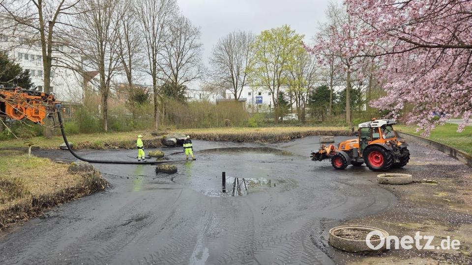 Der Teich an der Max-Reger-Halle in Weiden ist derzeit ohne Wasser. Mitarbeiter der Stadtgärtnerei säubern ihn. Bild: Stadt Weiden