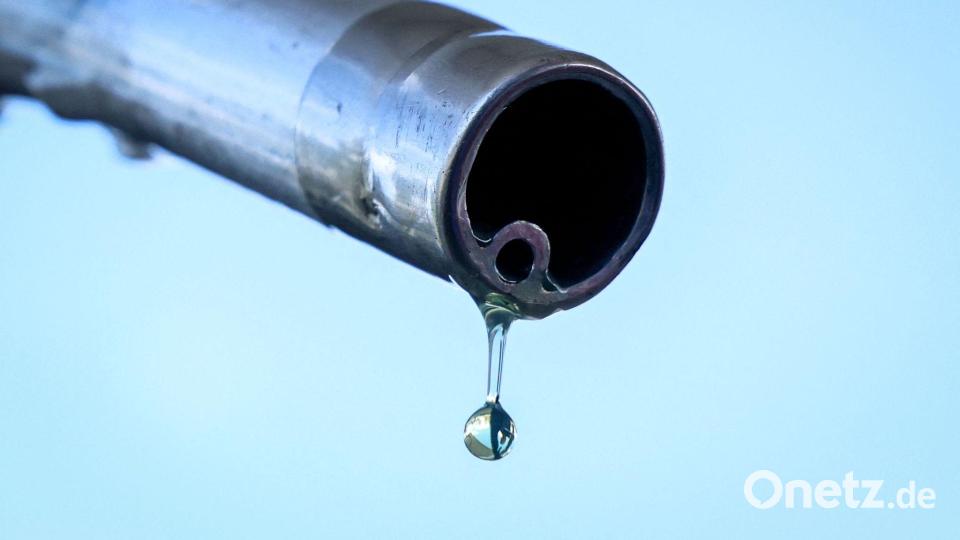 Im Netz verbreiten sich Falschbehauptungen über angeblich gestreckten Kraftstoff. (Archivbild) Bild: Alain Jocard/AFP/dpa