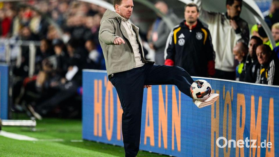 Julian Nagelsmann setzt im deutschen Tor notgedrungen auf Hoffenheims Oliver Baumann. (Archivbild) Bild: Tom Weller/dpa
