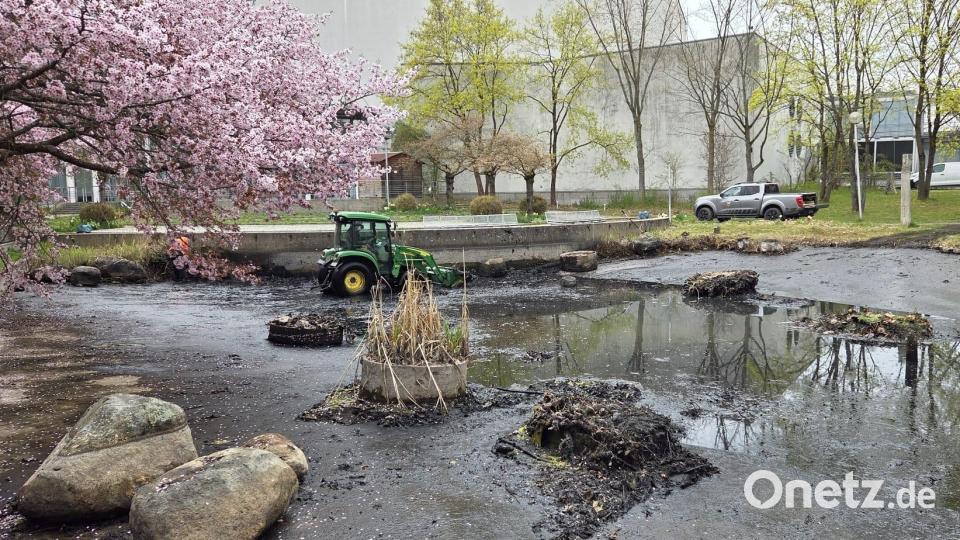 Mit Hilfe eines Traktors räumen sie Schlamm und allerlei Müll aus dem Becken. Bild: Stadt Weiden
