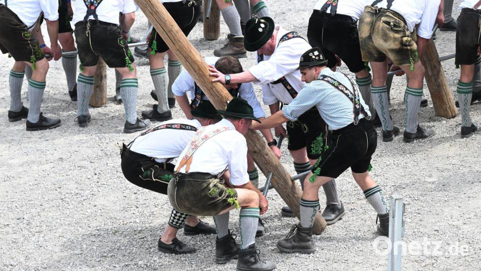 Zum 1. Mai werden wieder überall in Bayern Maibäume aufgestellt. (Archivbild) Bild: Felix Hörhager/dpa