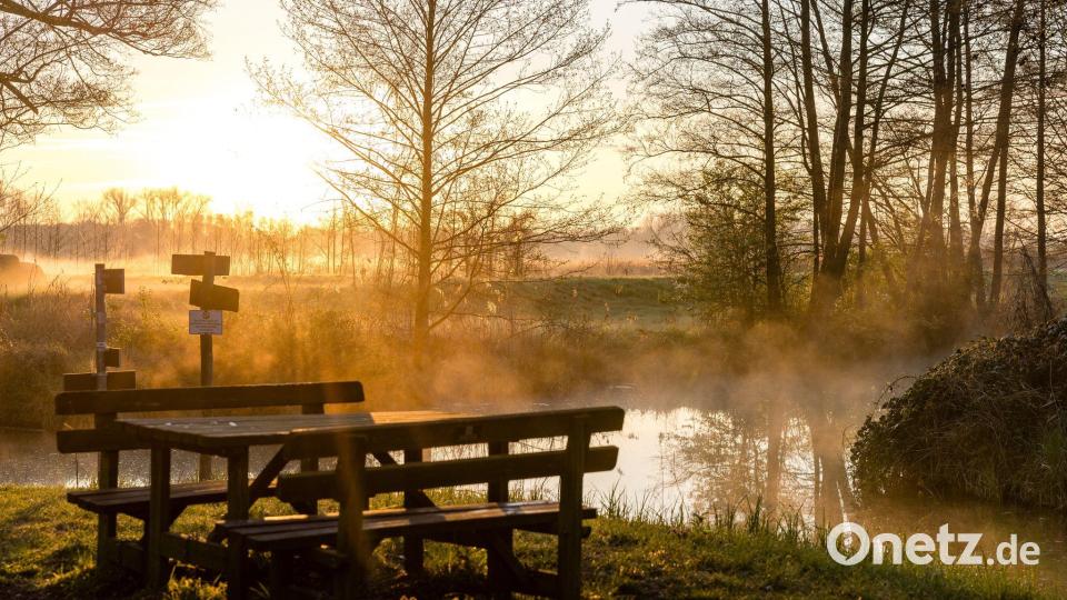 Morgens im Spreewald Bild: Frank Hammerschmidt/dpa