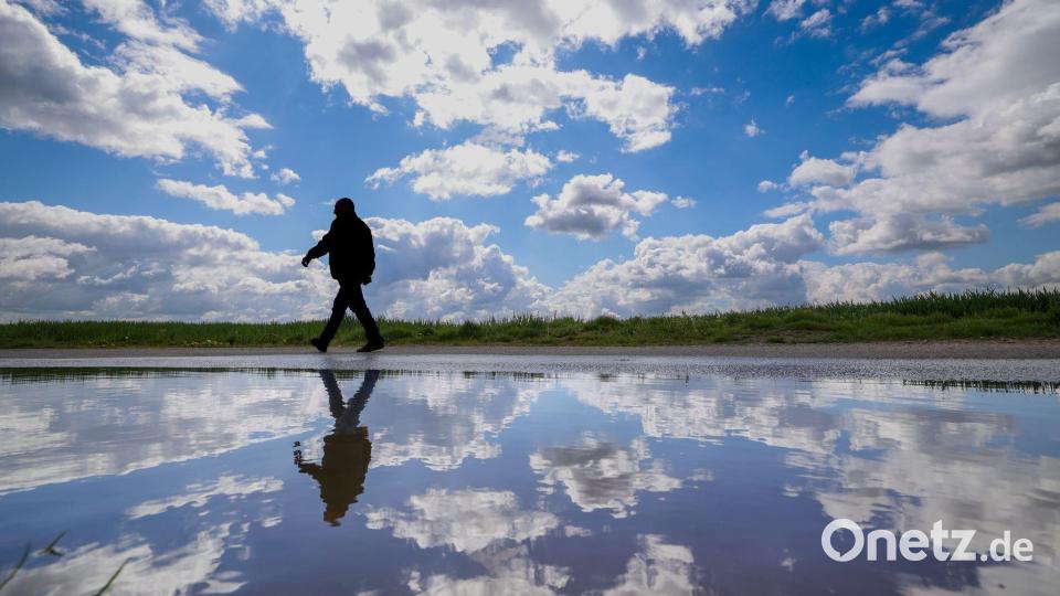 Wolkenspiegelung Bild: Christoph Reichwein/dpa