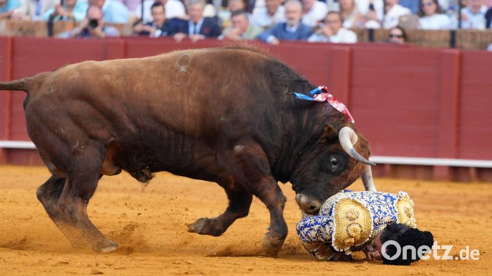 Der 46-Jährige erlitt nach Angaben des zuständigen Arztes sehr schwere Verletzungen. Bild: Joaquín Corchero/EUROPA PRESS/dpa