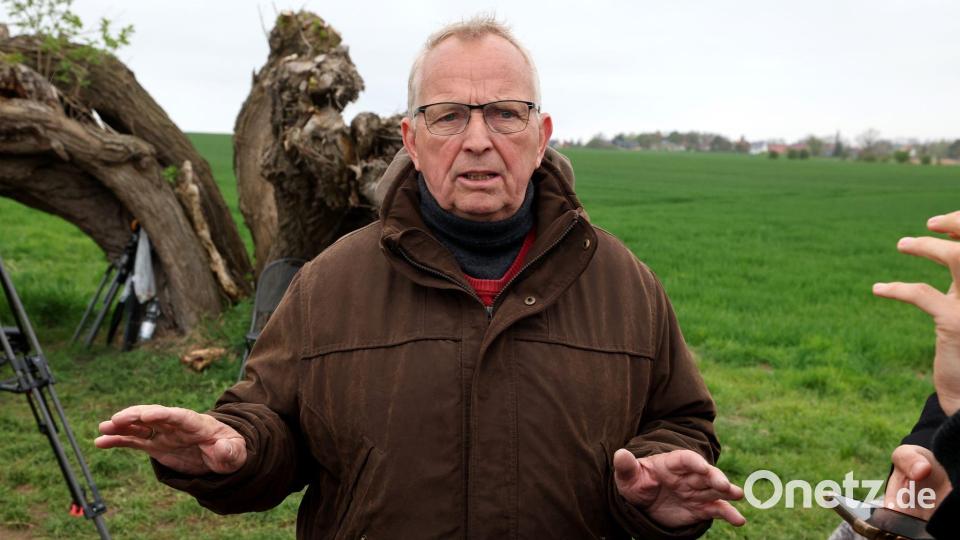 Till Backhaus (SPD), Umweltminister des Landes Mecklenburg-Vorpommern, hat sich in der Nacht mit Experten der Fischereiaufsicht einen Eindruck vom Zustand des Wals verschafft. (Archivbild) Bild: Bernd Wüstneck/dpa