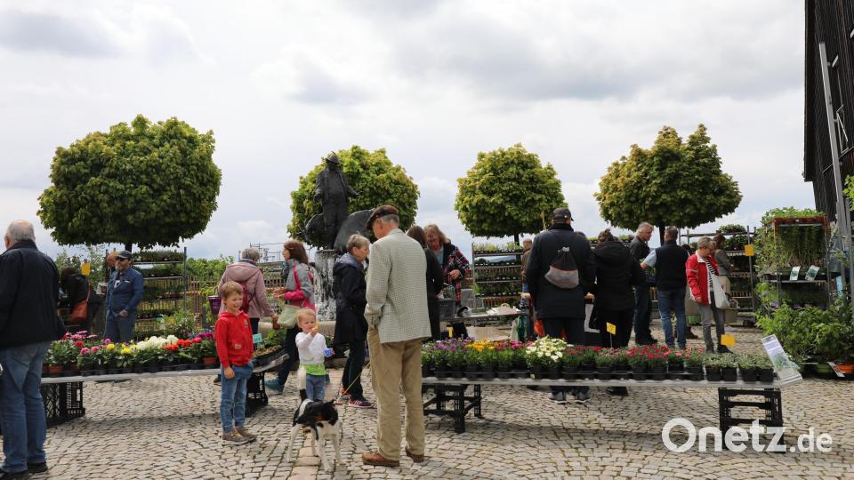 Frühjahrsmarkt im Freilandmuseum Oberpfalz. Bild: Simone Kramer