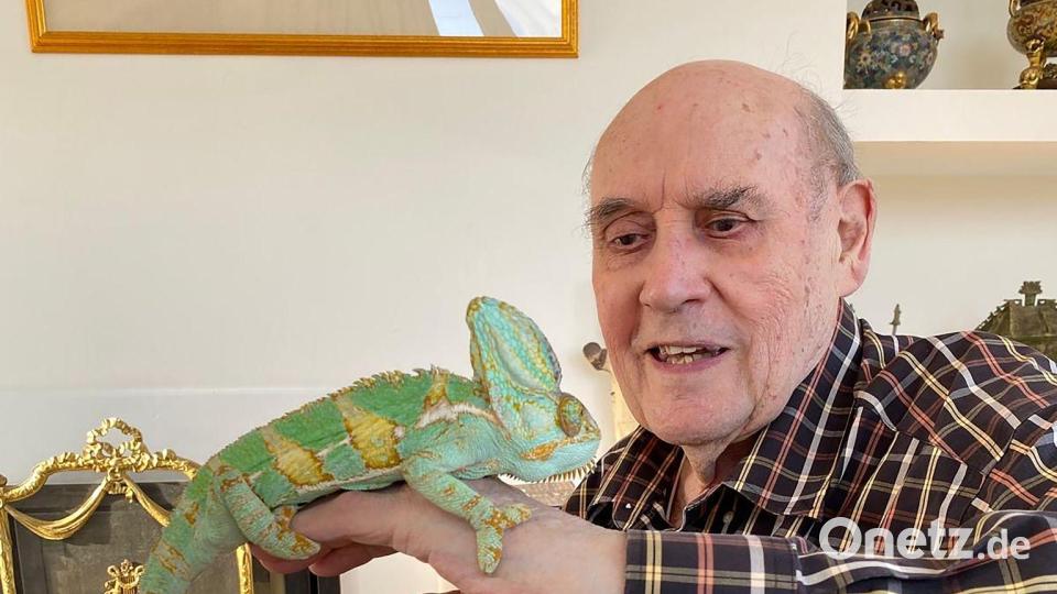 Der britische Zoologe Desmond Morris habe ein Leben voller Neugier und Kreativität gelebt, sagte sein Sohn. Bild: Family Handout/PA Wire/dpa