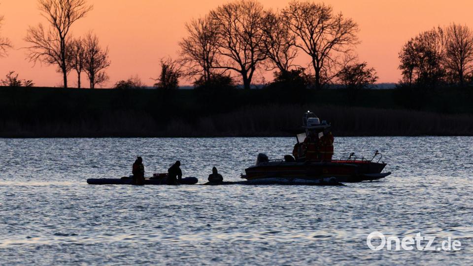 Helfer arbeiten in direkter Nähe des gestrandeten Wals vor der Insel Poel. Bild: Marcus Golejewski/dpa