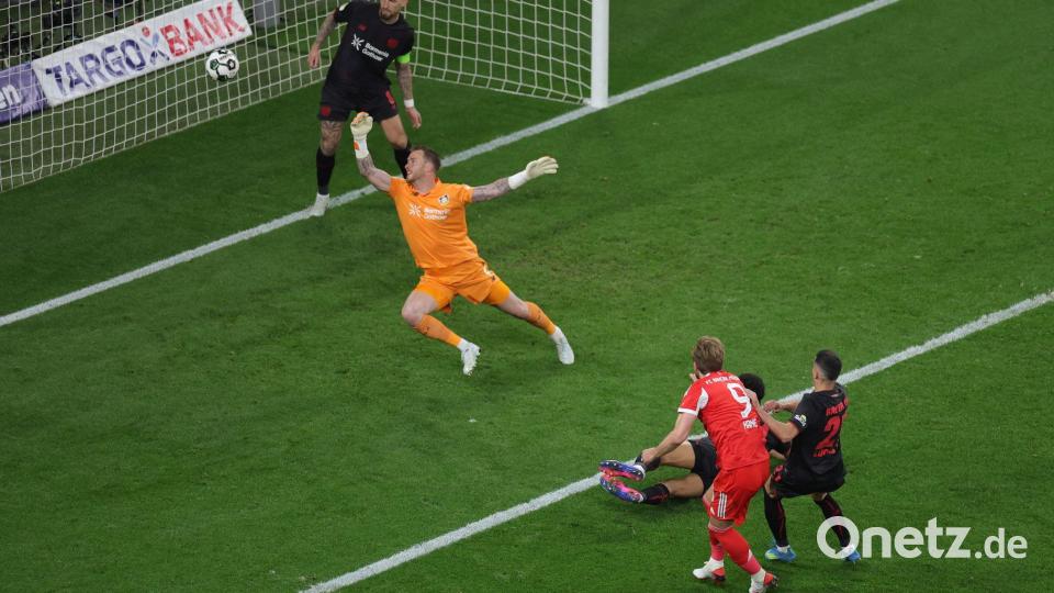 Harry Kane ließ die Bayern früh jubeln. Bild: Rolf Vennenbernd/dpa