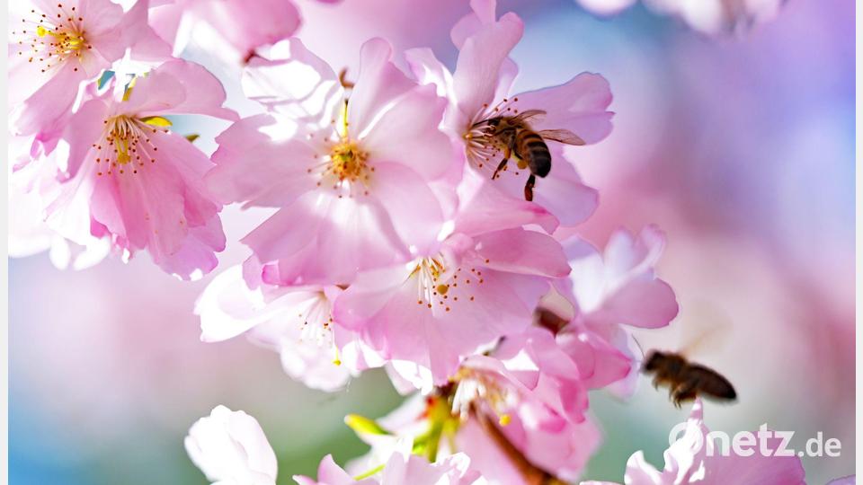 Tagsüber soll das Thermometer auf bis zu 21 Grad steigen. (Archivbild) Bild: Malin Wunderlich/dpa