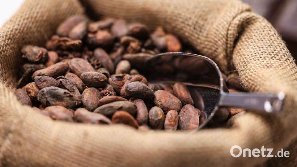 Die Kakaopreise sind zuletzt wieder gesunken. (Symbolbild) Bild: Oliver Berg/dpa