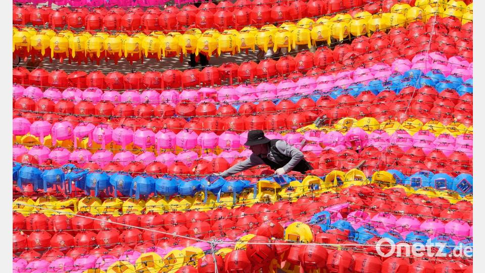 Ein Arbeiter arrangiert Laternen für die bevorstehenden Feierlichkeiten zu Buddhas Geburtstag in der südkoreanischen Hauptstadt Seoul. Bild: Ahn Young-joon/AP/dpa