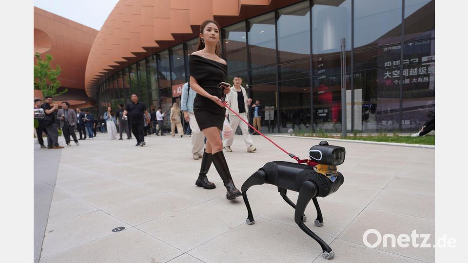 Hundesteuer gespart: Eine Frau geht mit einem Roboterhund während der Messe Auto China 2026 in Peking spazieren. Bild: Ng Han Guan/AP/dpa