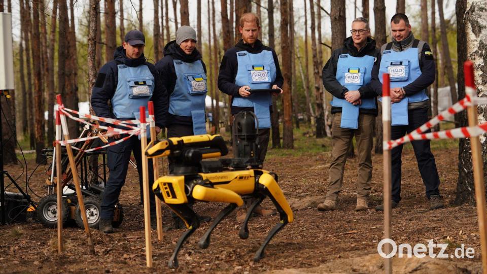 Prinz Harry war am Donnerstag überraschend in der Ukraine eingetroffen. Bild: -/Halo Trust/dpa