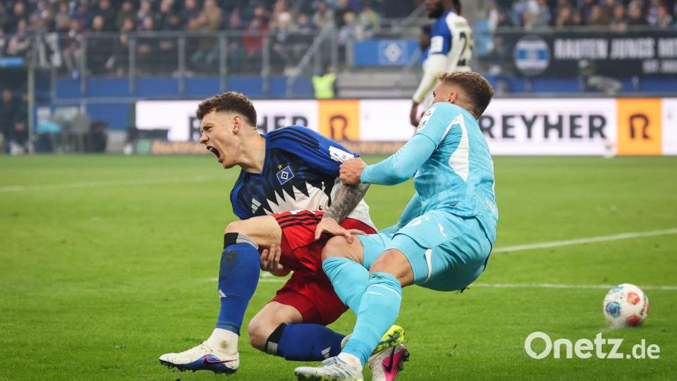 Umkämpftes Spiel: Hamburgs Nicolai Remberg (l) und Hoffenheims Grischa Prömel im Zweikampf. Bild: Christian Charisius/dpa