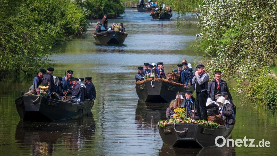 Worpswede/Bremen: Torfkahnarmada fährt alle drei Jahre über die Kleine Wümme zur Hansestadt Bild: Focke Strangmann/dpa
