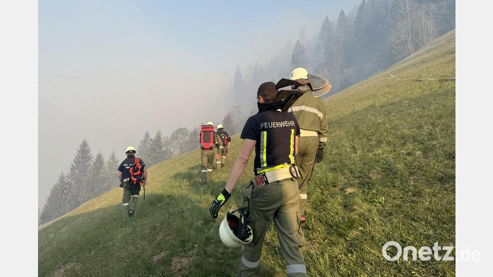 Feuerwehrleute bekämpfen einen Waldbrand in den Bergen im Kärntner Lesachtal in Österreich. Bild: Lm Matthias Warmuth/APA/dpa