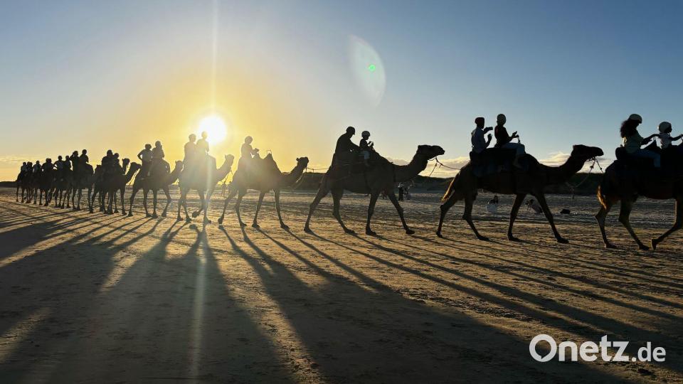 Menschen reiten auf Kamelen am Birubi Beach nördlich von Newcastle in Australien. Bild: Mark Baker/AP/dpa