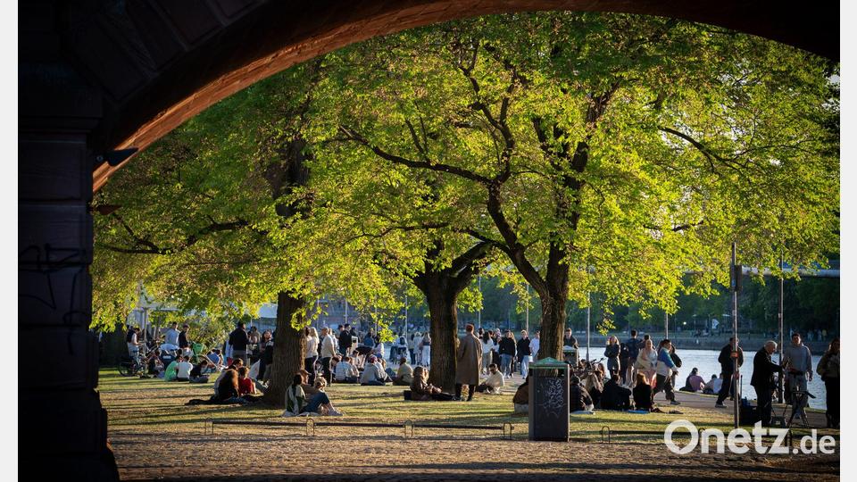 Abends am Mainufer Bild: Andreas Arnold/dpa