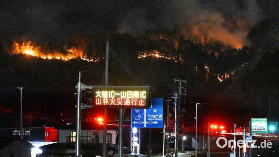 Bei den Waldbränden sind bislang keine Personen ums Leben gekommen. Bild: -/kyodo/dpa