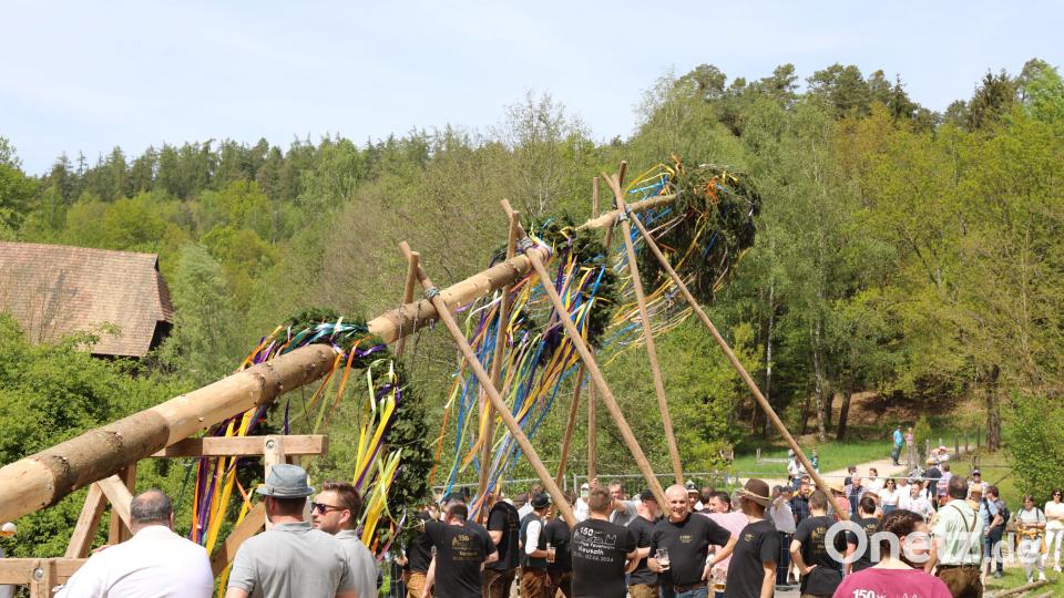 Maibaumaufstellen im Freilandmuseum Oberpfalz. Bild: Eva Gröninger